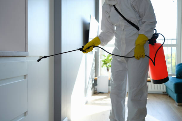 Best Mold Cleaning Services  in Fremont, MI